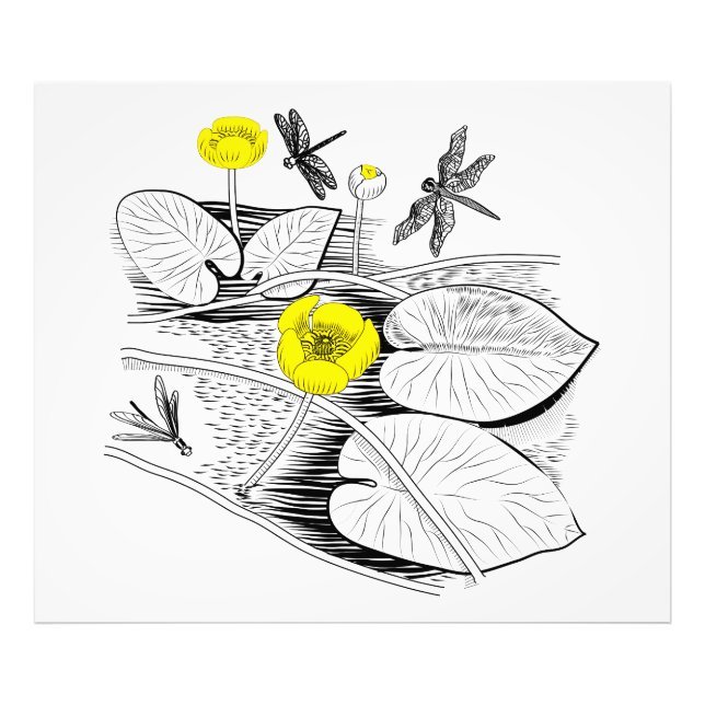 Water-lilies engraving photo print (Front)