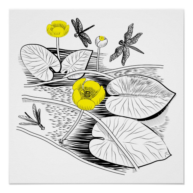 Water-lilies engraving poster (Front)