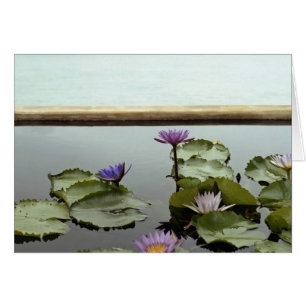 Water lilies in pond by ocean
