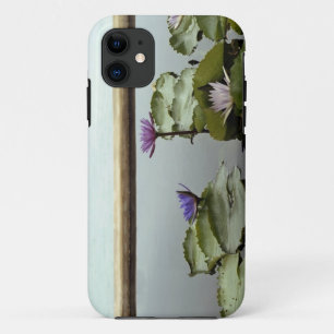 Water lilies in pond by ocean iPhone 11 case