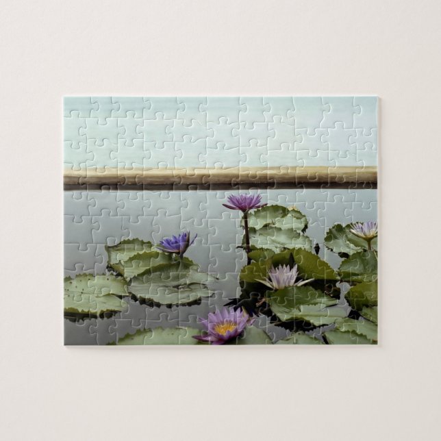 Water lilies in pond by ocean jigsaw puzzle (Horizontal)