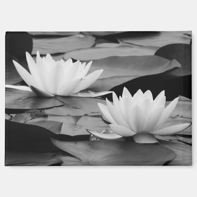 Water Lilies Magnet (Front)