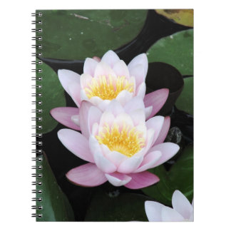 Water Lilies Notebook