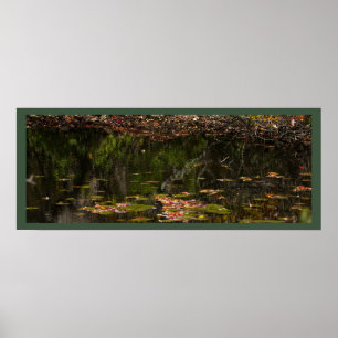 Water Lilies Photo Poster