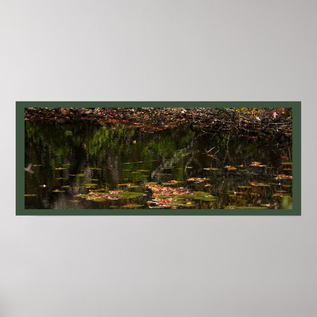 Water Lilies Photo Poster (Front)