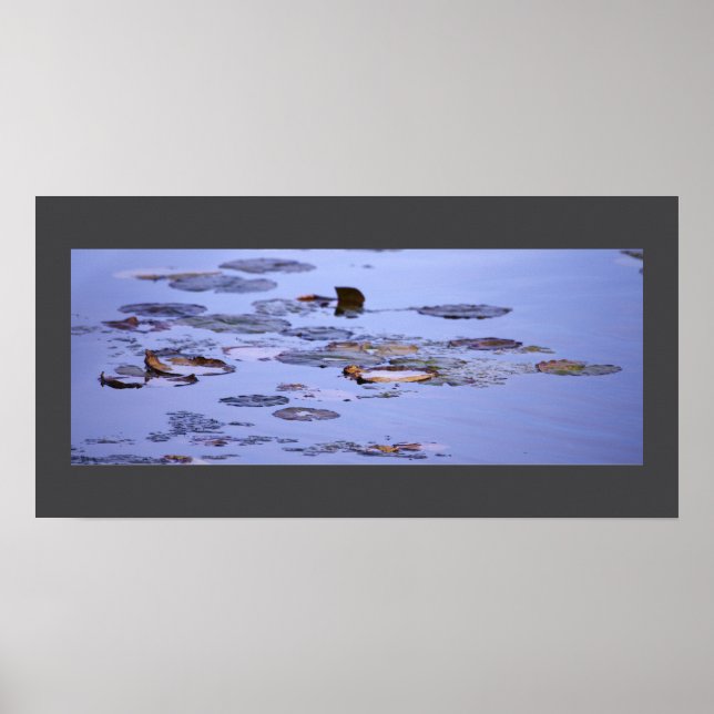 Water Lilies Photo Poster (Front)