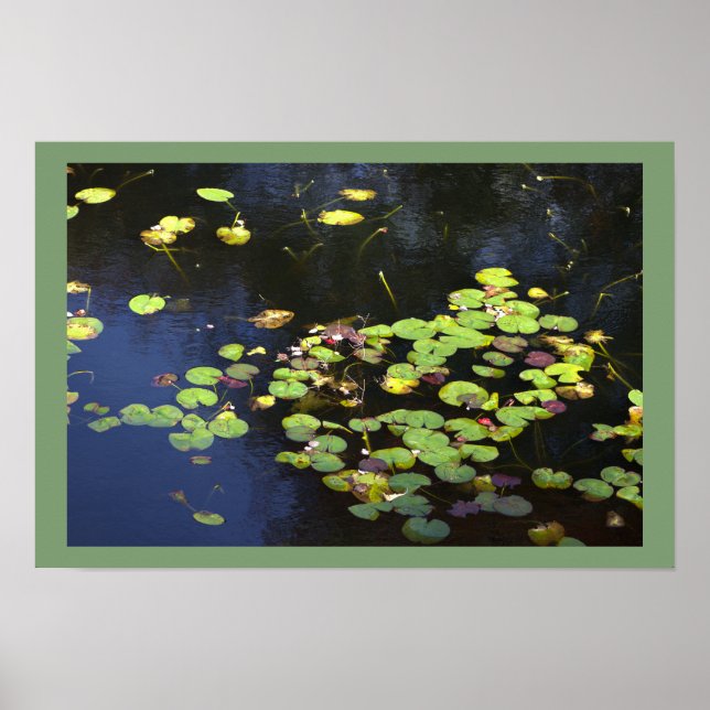 Water Lilies Photo Poster (Front)