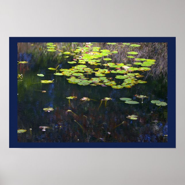 Water Lilies Photo Poster (Front)