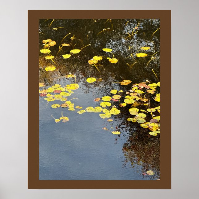 Water Lilies Photo Poster (Front)