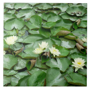 Water Lilies Tile
