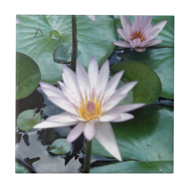 Water Lilies Tile (Front)