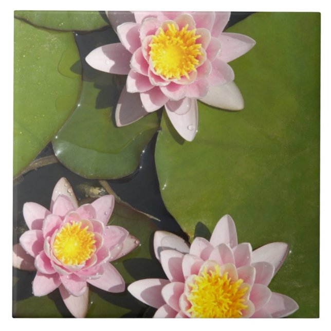 Water lilies tile (Front)