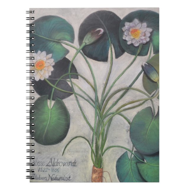 Water Lillies Notebook (Front)