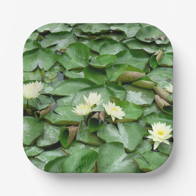 Water Lillies Paper Plate (Front)