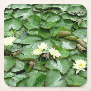Water Lillies Square Paper Coaster
