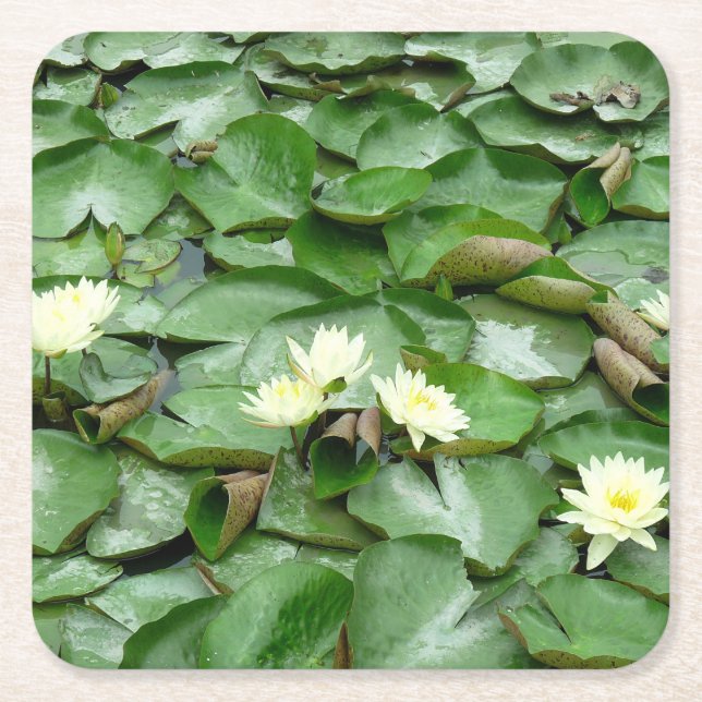 Water Lillies Square Paper Coaster (Front)