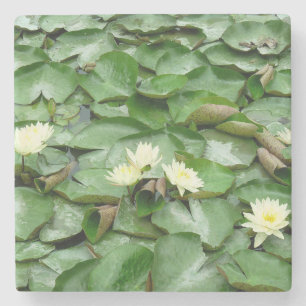 Water Lillies Stone Coaster