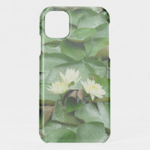 Water Lillies