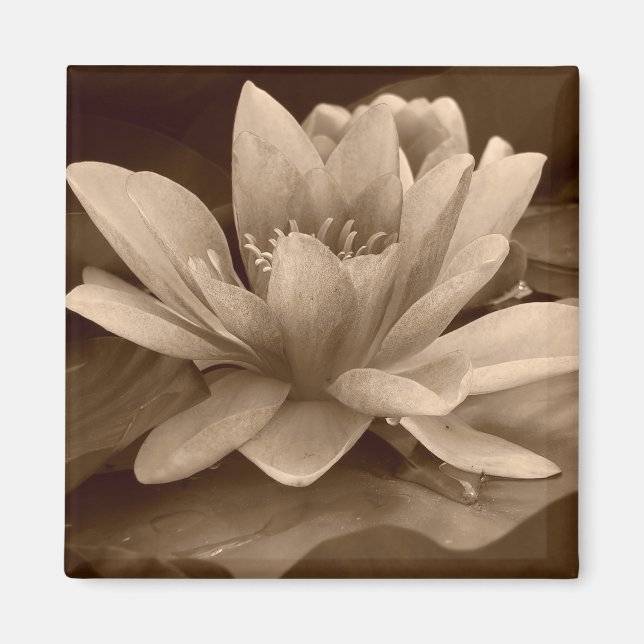 Water Lilly Magnet (Front)