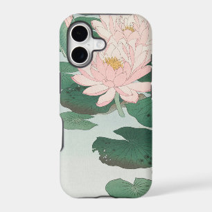 Water Lily