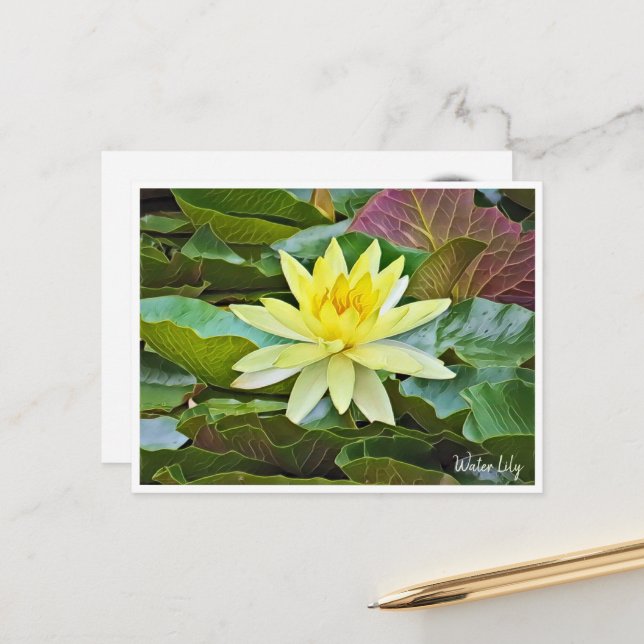Water Lily ポストカード Postcard (Front/Back In Situ)
