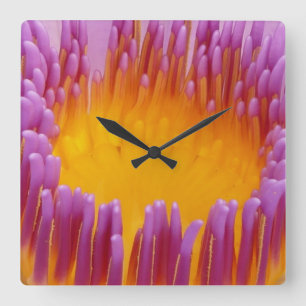 Water Lily 1 Wall Clocks & Numeral Options