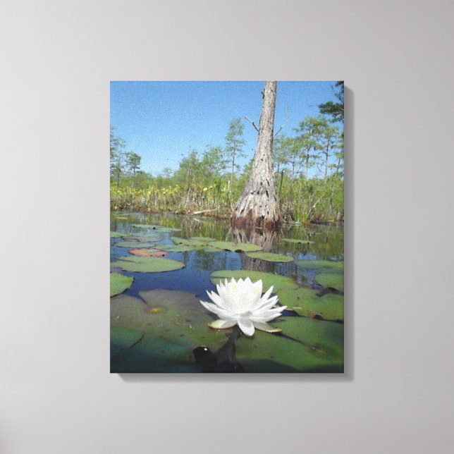 Water Lily 2 Canvas Print (Front)