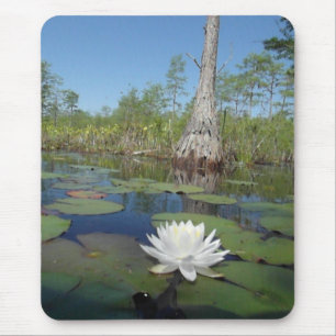 Water Lily 2 Mouse Pad