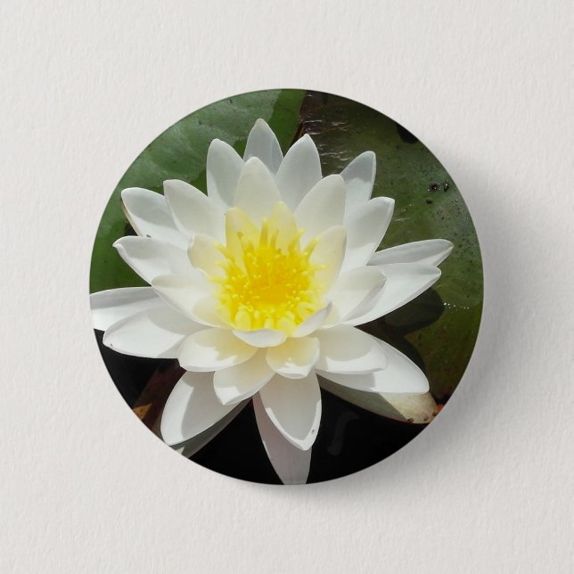 Water Lily 6 Cm Round Badge (Front)