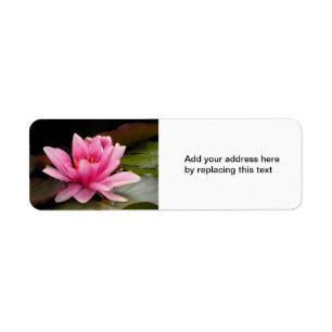 Water Lily Address Label