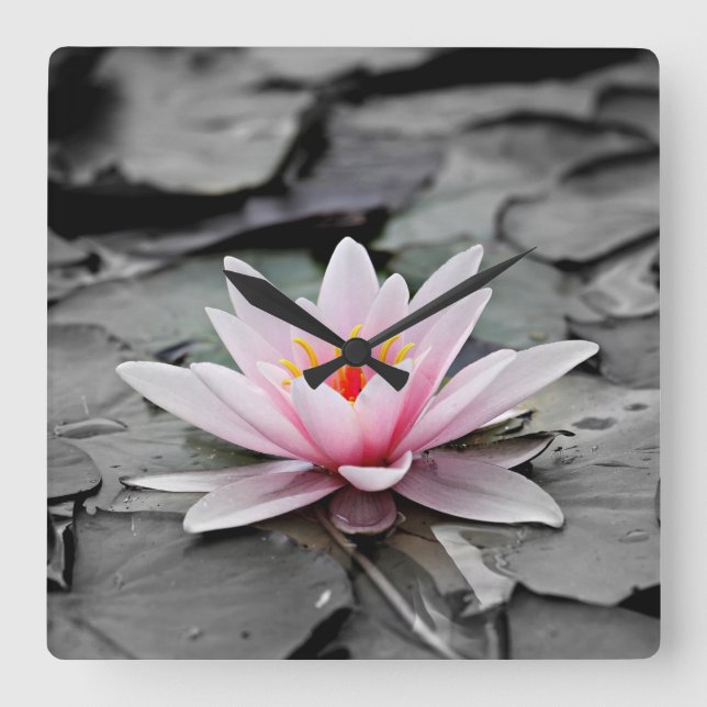 Water Lily Aquatic Plant Acrylic Wall Clock (Front)