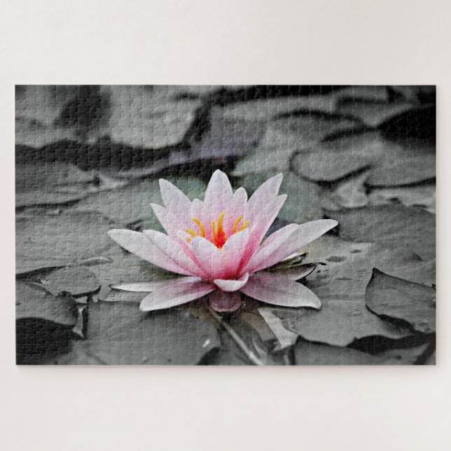 Water Lily Aquatic Plant Jigsaw Puzzle (Horizontal)