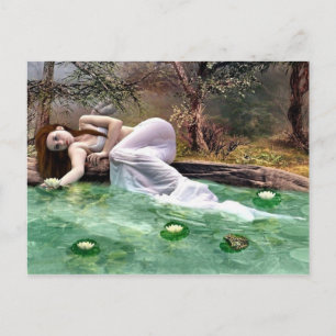 Water lily beauty postcard