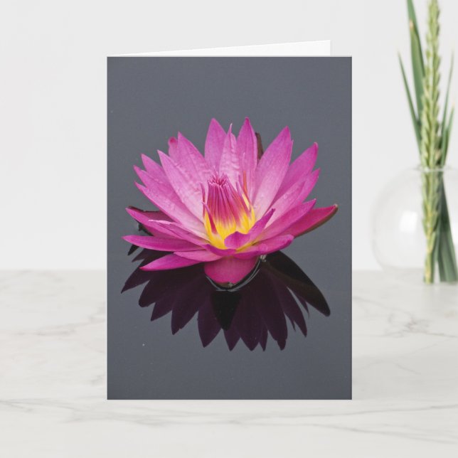 Water Lily Birthday Card (Front)