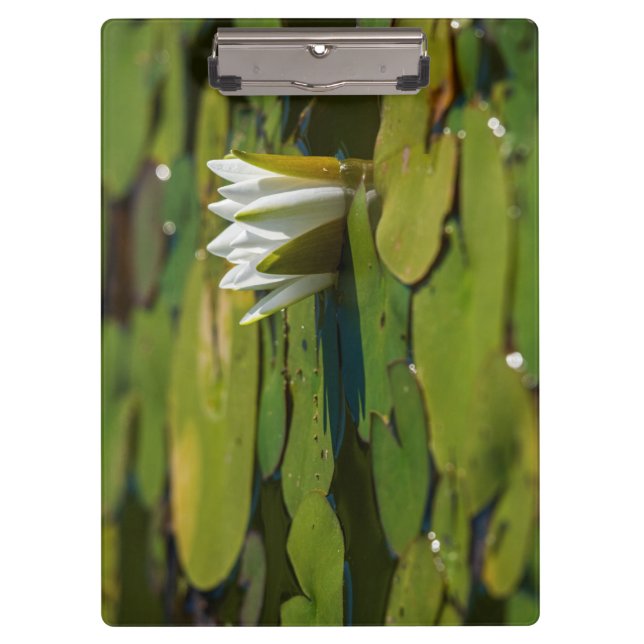 Water Lily Blossom Clipboard (Front)