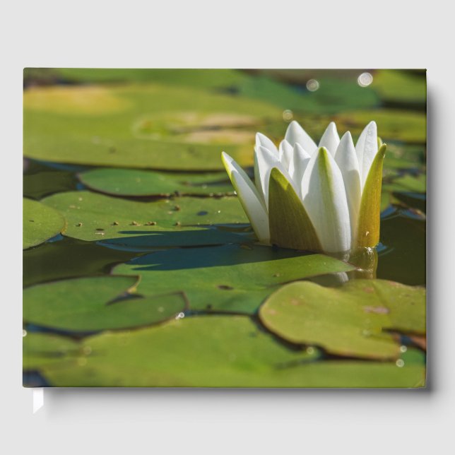 Water Lily Blossom Guest Book (Front)