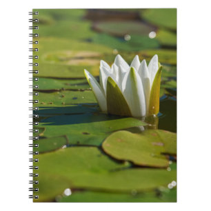 Water Lily Blossom Notebook
