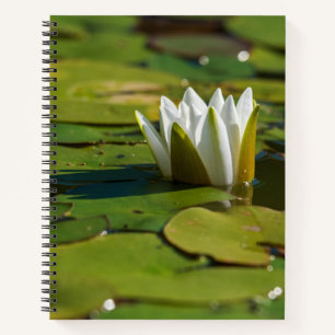 Water Lily Blossom Notebook