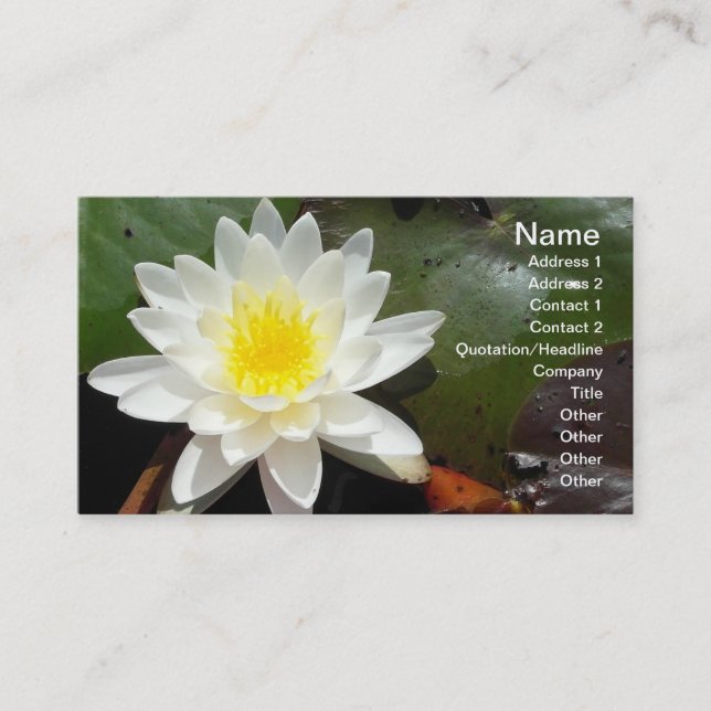 Water Lily Business Card (Front)