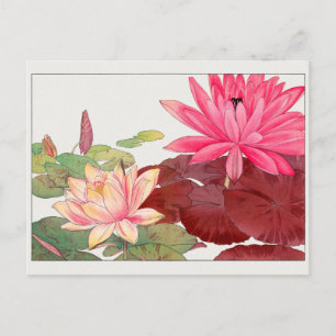 Water lily by Tanigami Konan Postcard