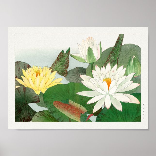 Water lily by Tanigami Konan Poster (Front)