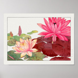 Water lily by Tanigami Konan Poster