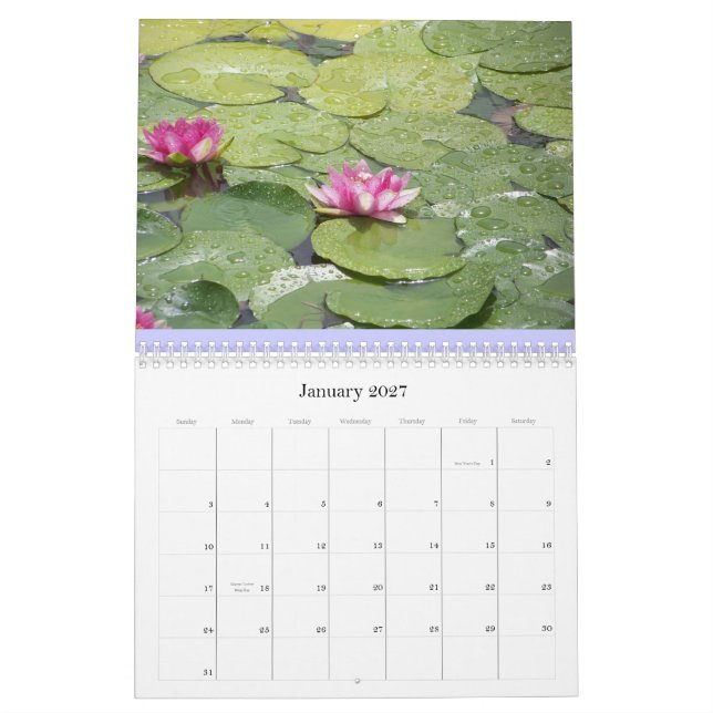 water lily calender calendar (Jan 2027)