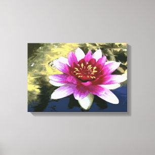 Water Lily Canvas Print