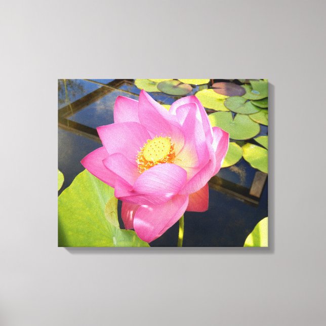 Water Lily Canvas Print (Front)