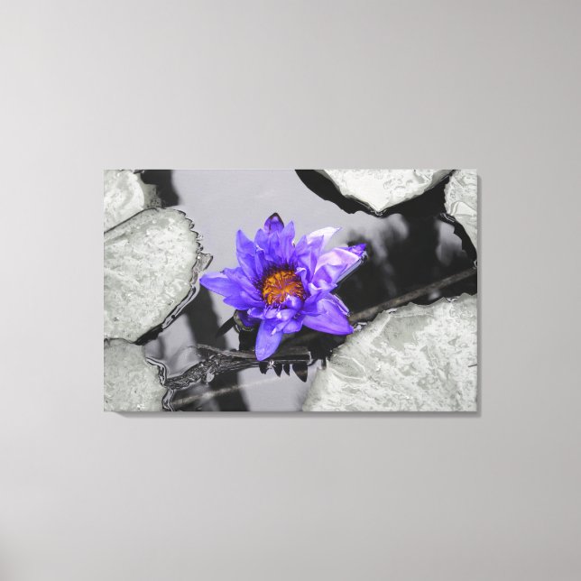 Water Lily Canvas Print (Front)