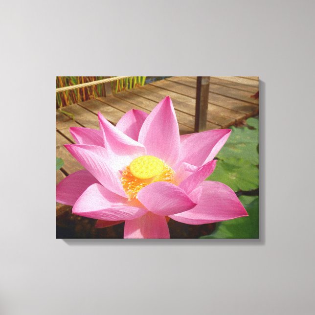Water Lily Canvas Print (Front)