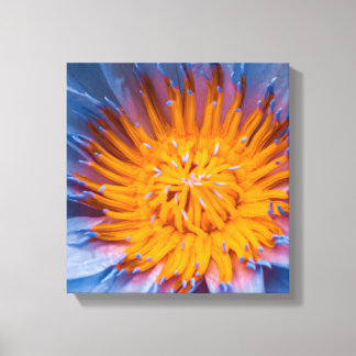 Water Lily Centered Canvas Print