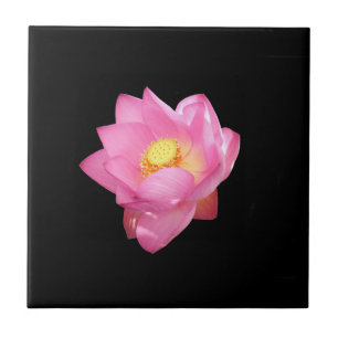 Water Lily Ceramic Tile