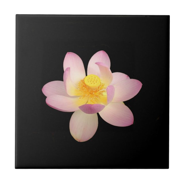 Water Lily Ceramic Tile (Front)